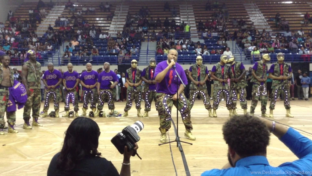 Omega Psi Phi Spring 2013 Probate FSU YouTube