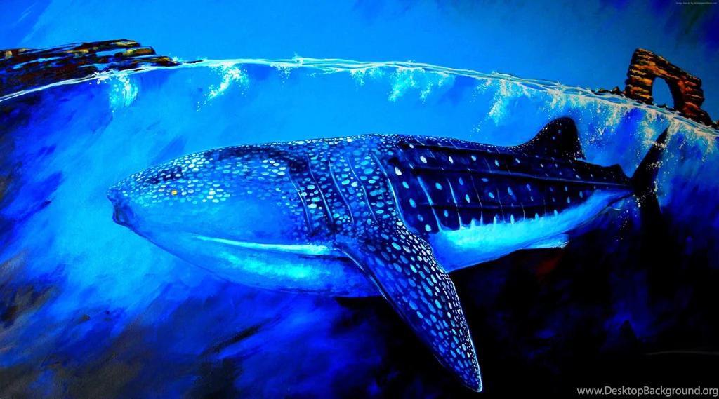Whale Shark Wallpaper, Animals / Aquatic: Whale Shark, Shark ...