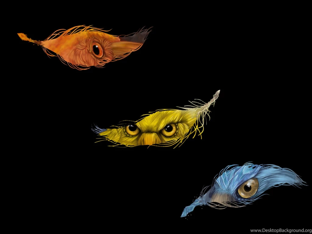 The Three Legendary Bird Pokemon[1600x1200] : Wallpapers