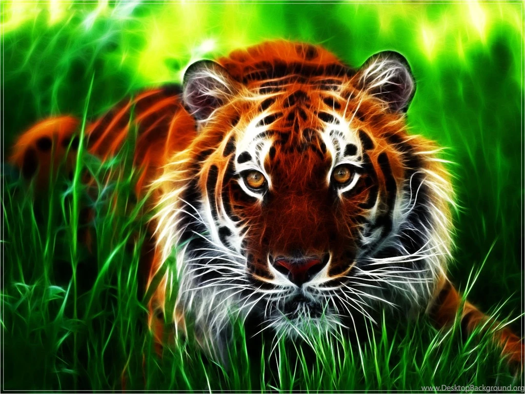Wallpaperspoints: The Most Beautiful Tiger Wallpapers