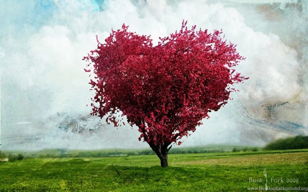 1080x675px Wallpapers Hd Love Red Tree