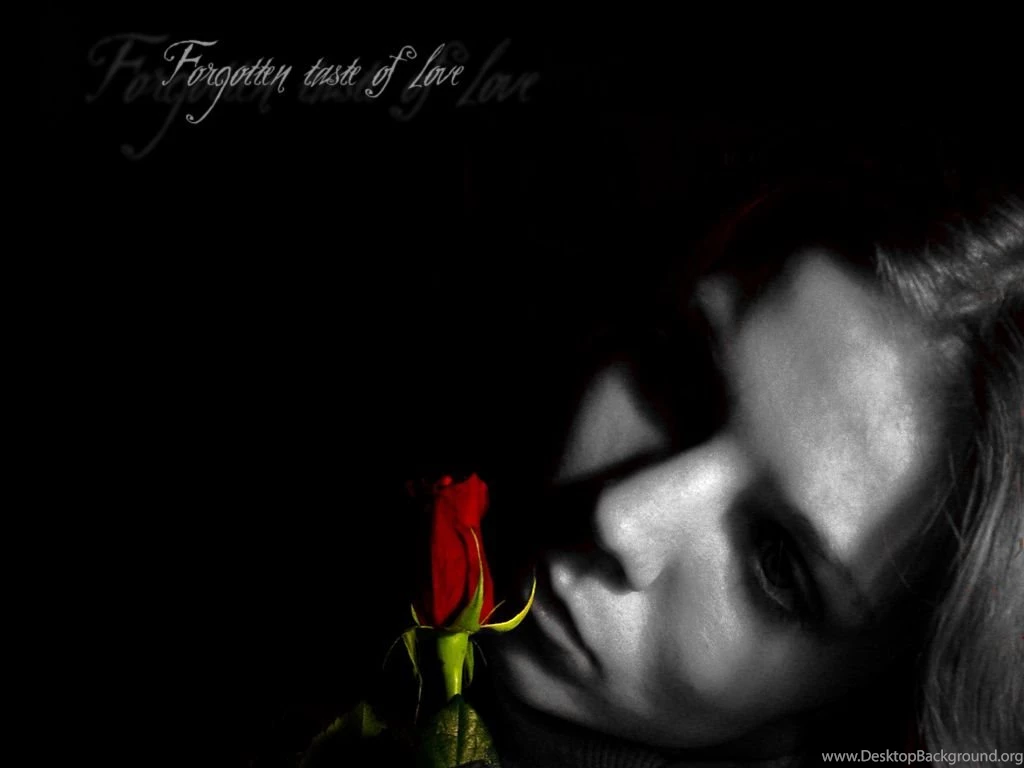 Forgotten_taste_of_love 865205.jpeg