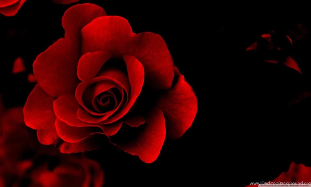 Sign Of Love HD Desktop Wallpapers : High Definition : Fullscreen ...