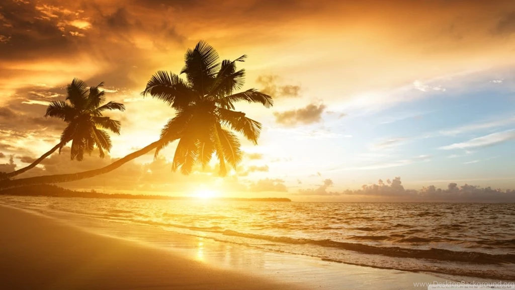 Amazing HD Desktop Wallpapers : High Definition : Fullscreen ...