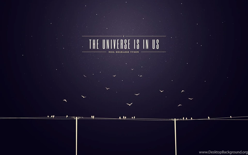 Dribbble   Show And Tell For Designers