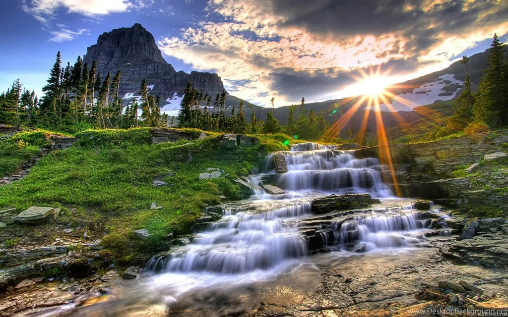 Remove Wallpapers On PC Wallpapers Animal Hd