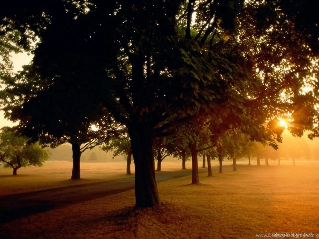 Wallpapers En De Amor 1024x768