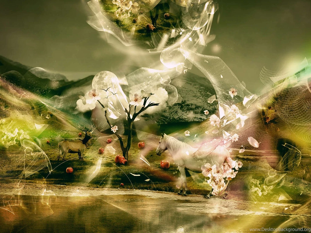 Wallpapers Free Downlod: Amazing Hd Wallpapers