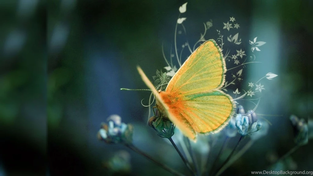 Most Popular HD Wallpapers For Computer Newwallpapershits.com