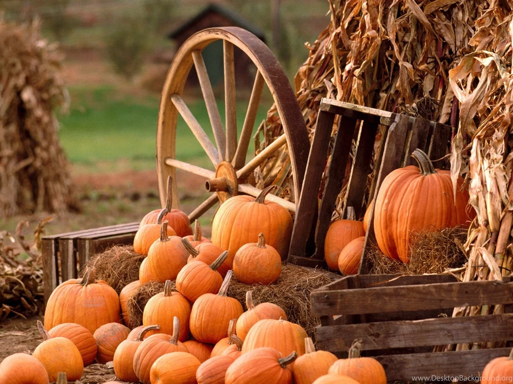 Photos of Autumn Harvest PREMIUM pictures.jpg