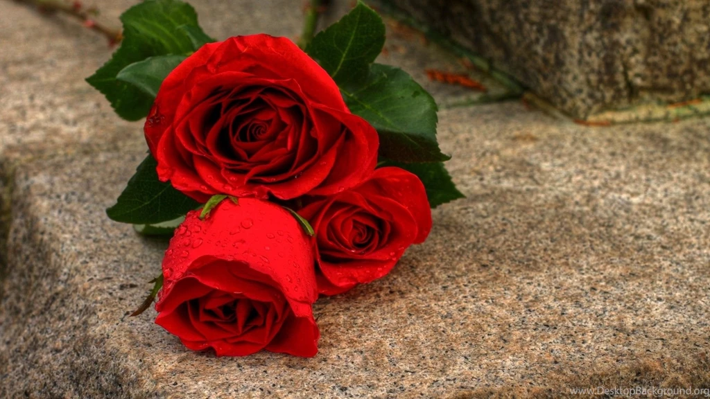 Love HD Wallpapers With Rose Flowers Heart Red HD Wallpapers Rocks ...
