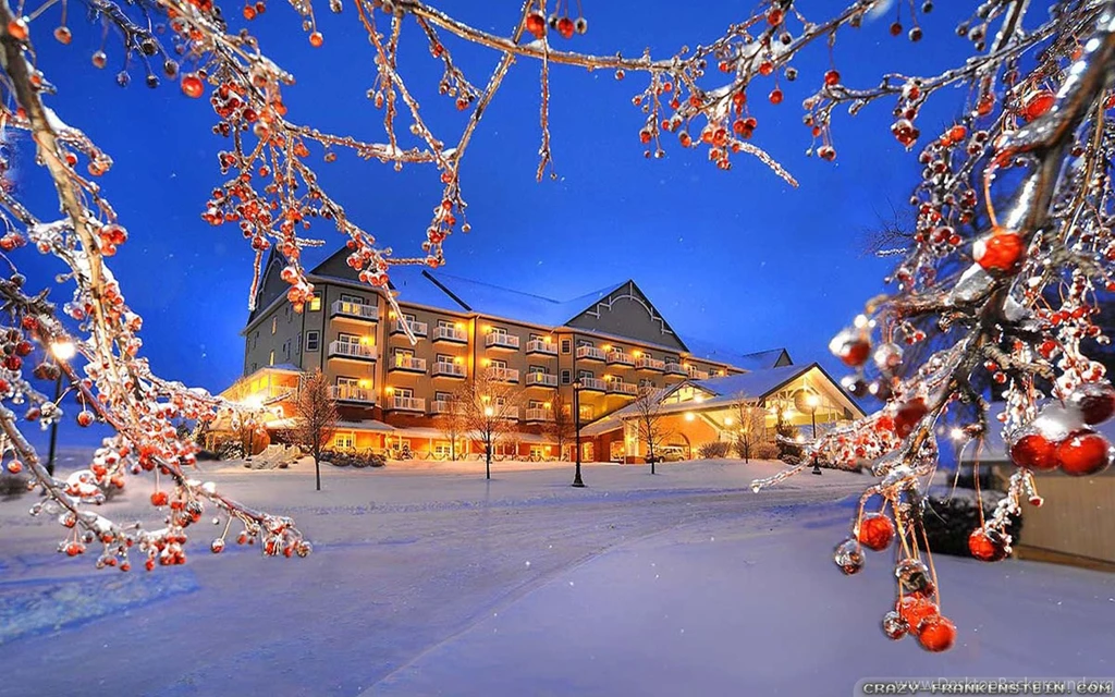 Winter Nature Wallpapers   Crazy Frankenstein