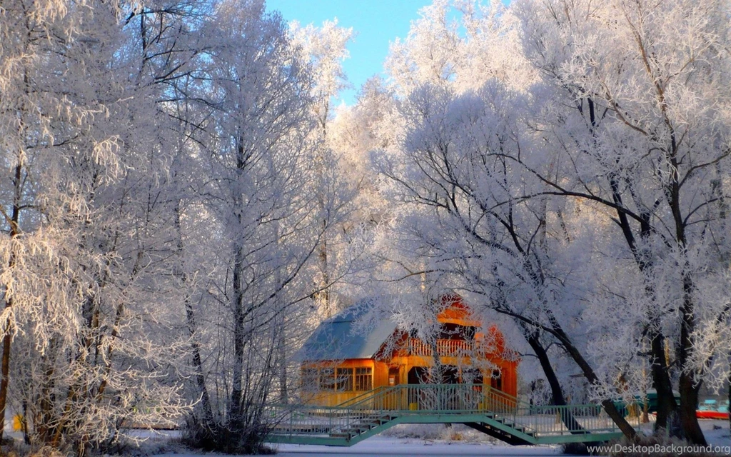Pictures > Beautiful Nature Winter