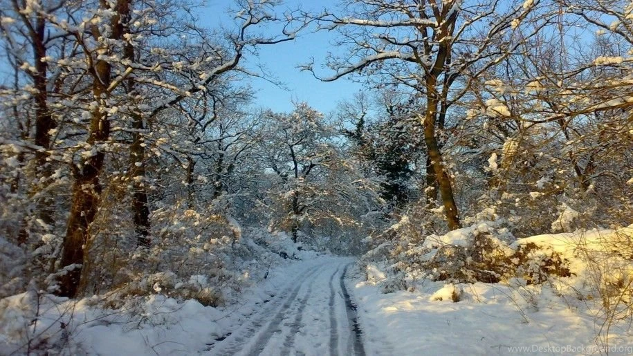 Winter Hd Wallpapers Tags Nature Winter Description Nature Winter ...