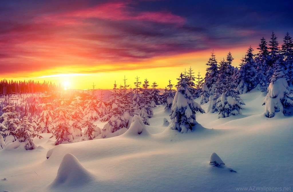 Nature Winter Snow Sky Landscape Nature Winter Sky White Snow ...