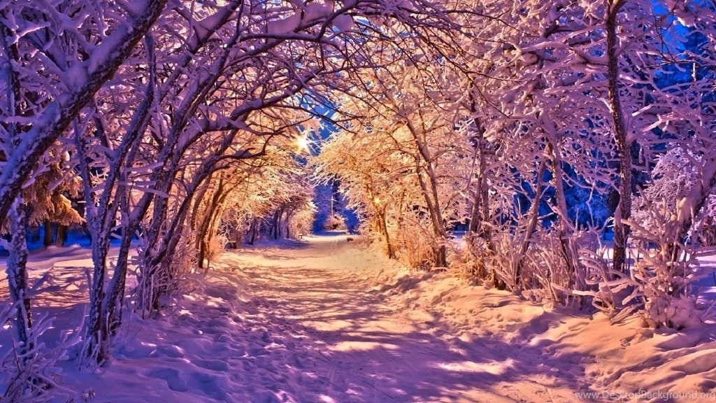 Nature, Winter, Landscape Wallpapers HD