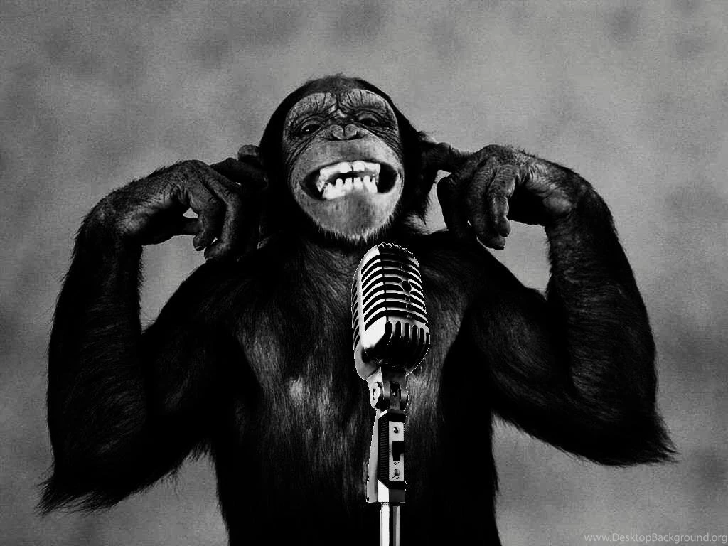 Download Monkeys Microphones Wallpapers 1024×768 Wallpoper 285429 ...