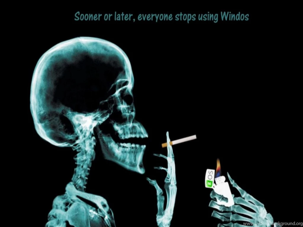 Funny Backgrounds Wallpapers   , New Wallpapers, New Wallpapers