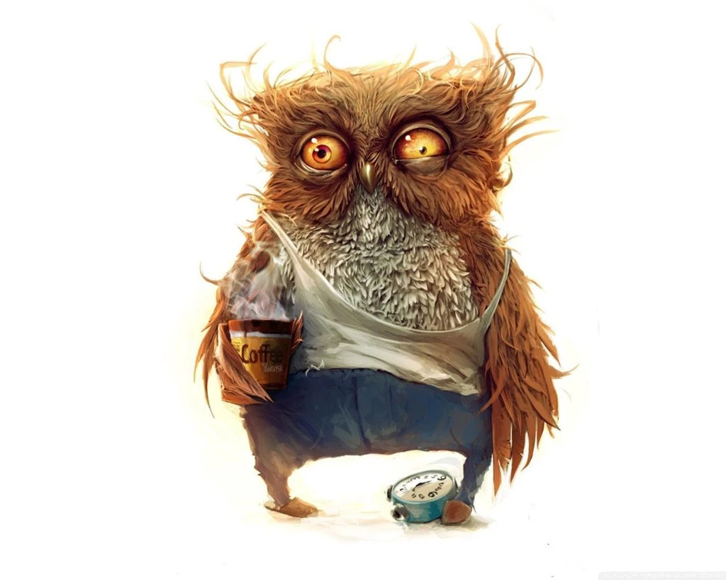Wallpapers Funny Good Morning Owl 1280 X 1024 Strange Funny ...