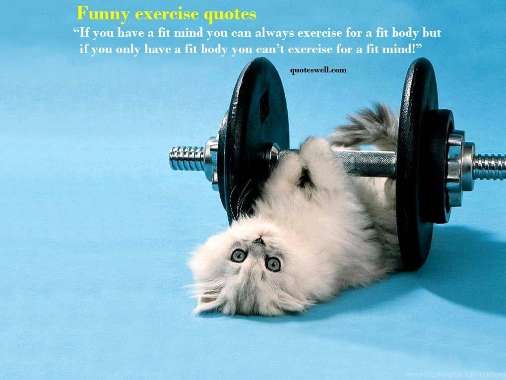 REALLY GOOD FUNNY QUOTES ABOUT LIFE Image Quotes At Relatably.com