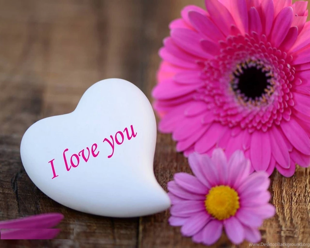 Obtain Free Love HD Wallpapers For PC HD Images New