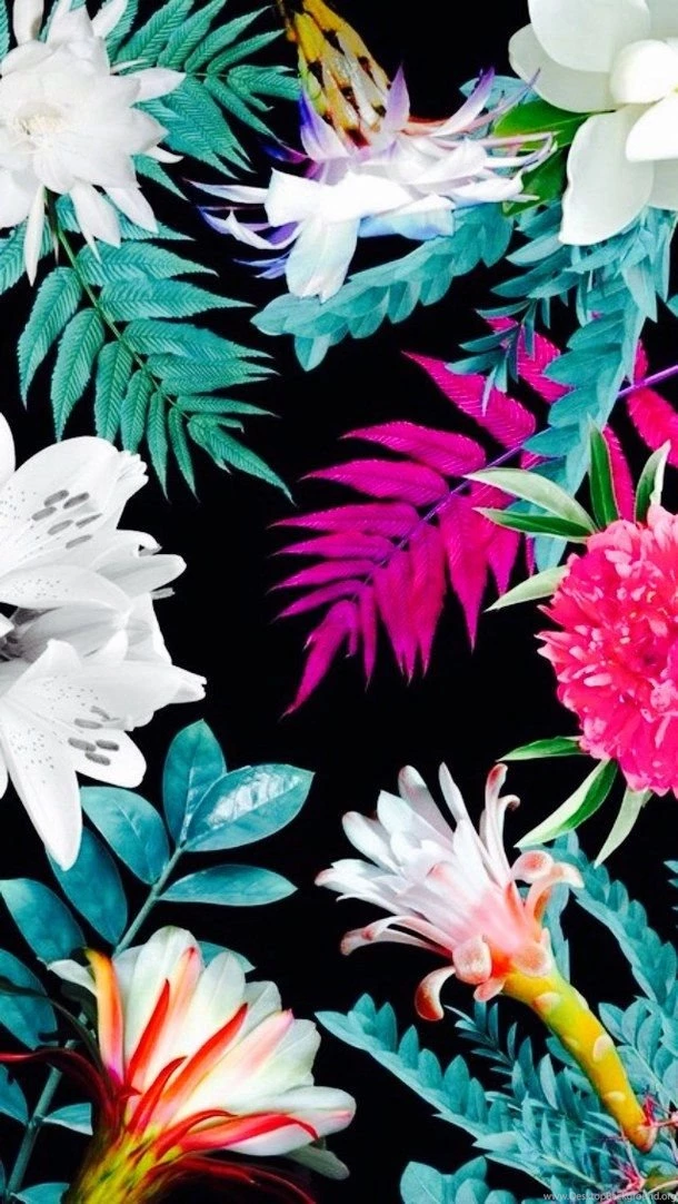 A, Apple, Background, Colors, Cool, Flowers, Freedom, Great, Heart ...