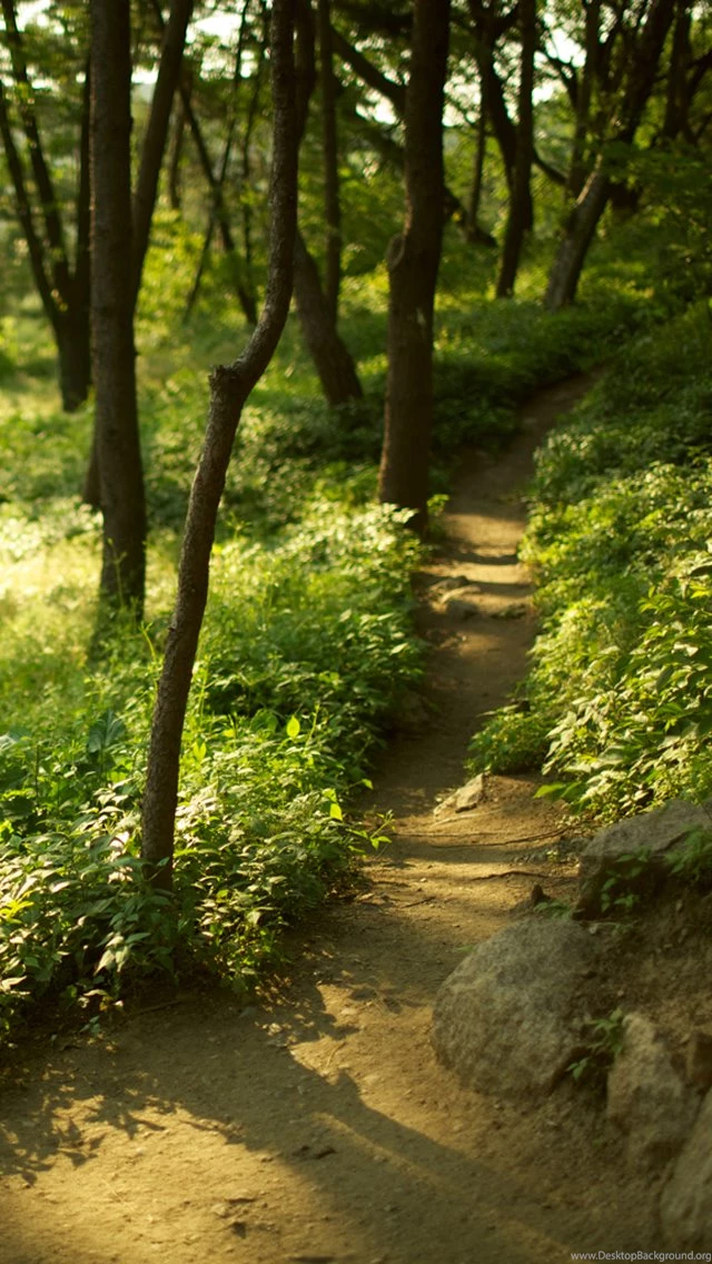 Download Top 35 iPhone 5 Wallpapers HD