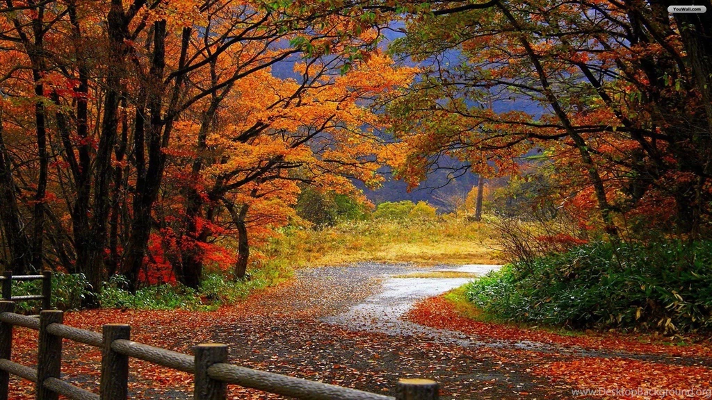 YouWall Autumn Scenery Wallpapers Wallpaper,wallpapers,free ...