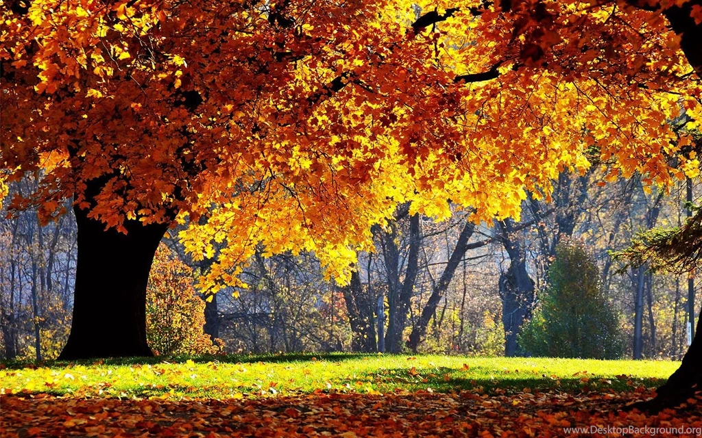 Fall Scenery Backgrounds   Wallpapers Cave