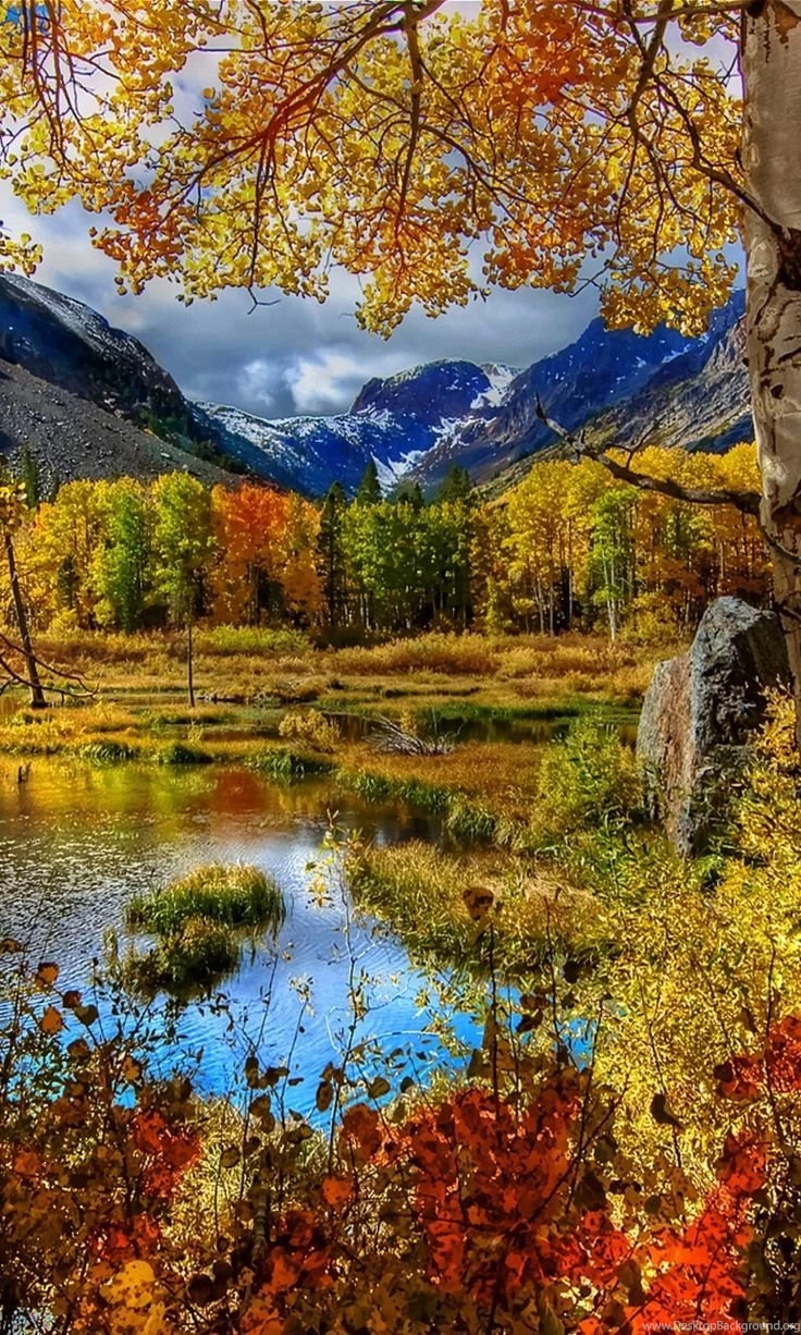Amazing Autumn Scenery Mobile Wallpapers For 768x1280