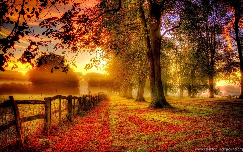 Thomas Bergersen Autumn Love Wallpapers 191453