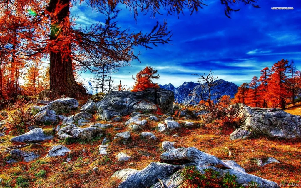 Beautiful Blue Sky Over The Autumn Scenery Wallpapers