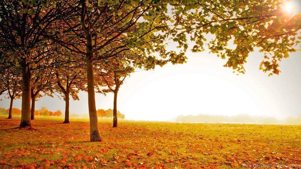 Beautiful Landscape Scenery Wallpapers