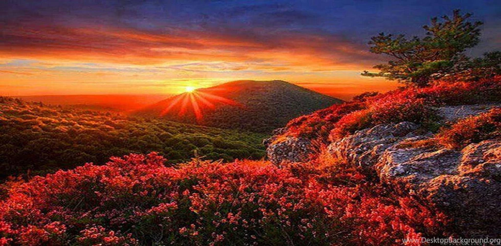 Beautiful Autumn Scenery   (