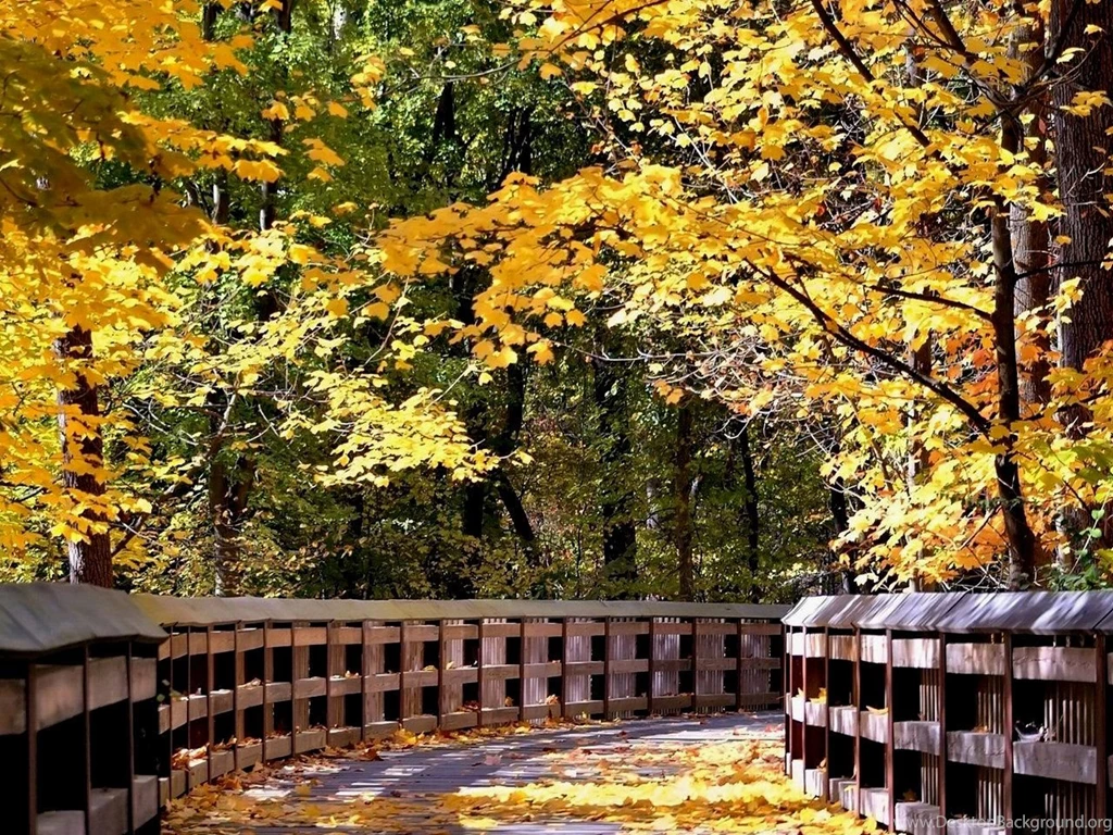 Gallery For Fall Scenery Free Wallpapers