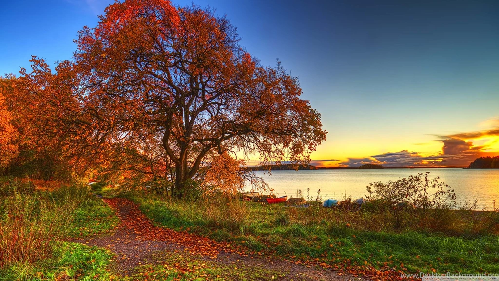 Autumn Scenery, 2560x1440 HD Wallpapers And FREE Stock Photo