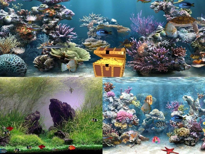 Freware & Shareware Animated Aquarium Wallpapers Downloads
