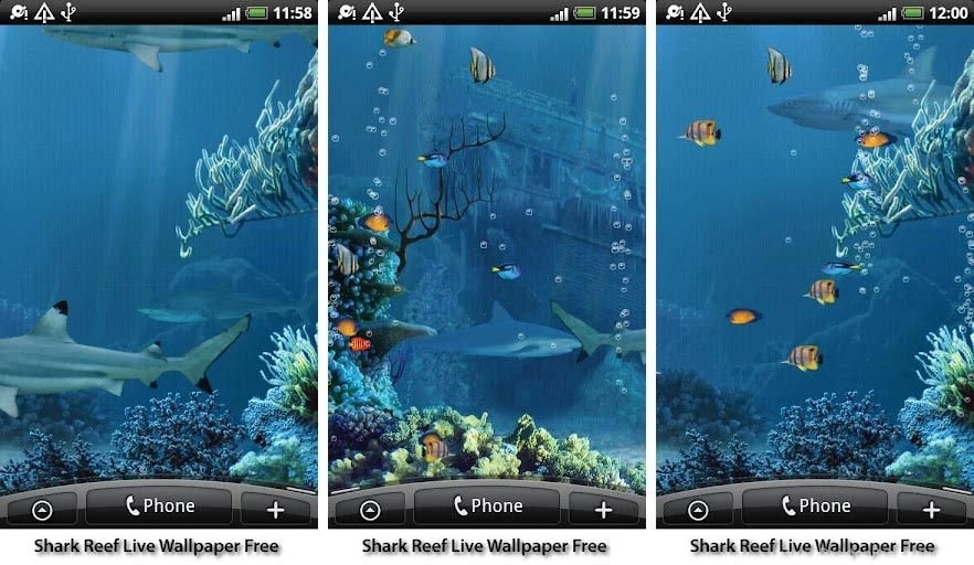 Best Aquarium And Fish Live Wallpapers For Android   Android Authority