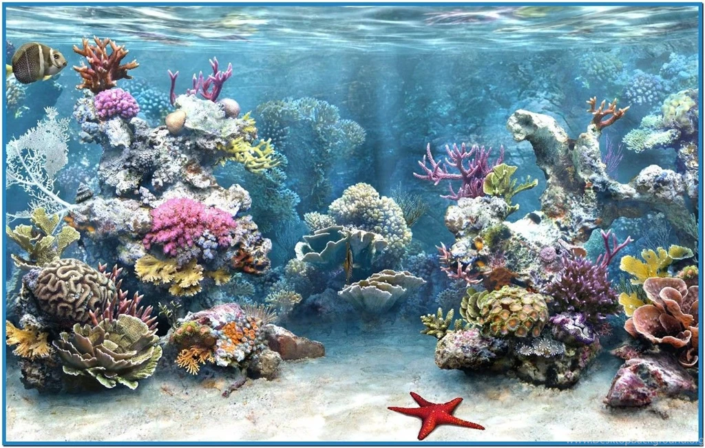 Free Live Screensavers   Widescreen HD Wallpapers