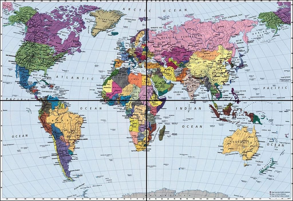 Political World Map Mural