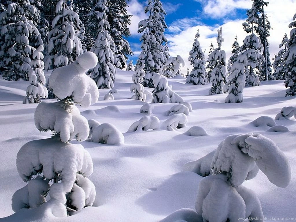 Free Winter Wallpaper Backgrounds To Warm Up The Desktop Ibytemedia