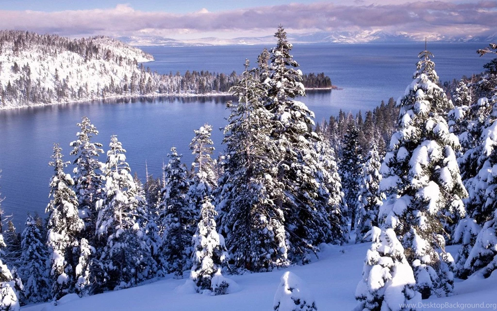 Winter Wonderland : Dreamy Snow Scene Wallpapers 1440x900 NO.11 ...