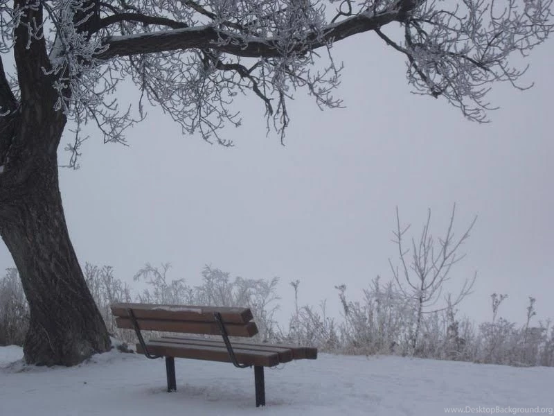 Frosty Winter Wonderland Wallpapers