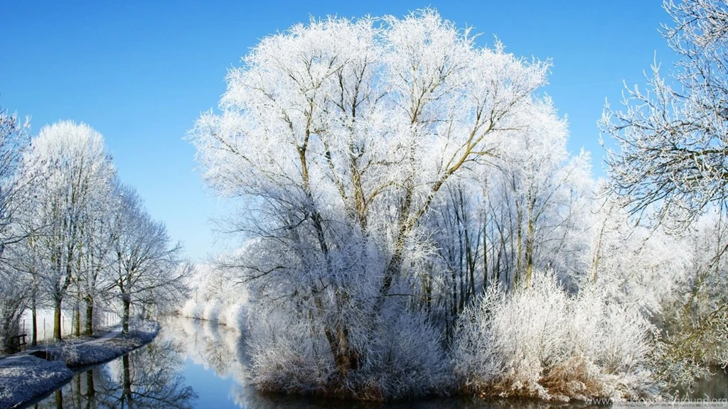Winter Wonderland HD Desktop Wallpapers : Widescreen : High ...