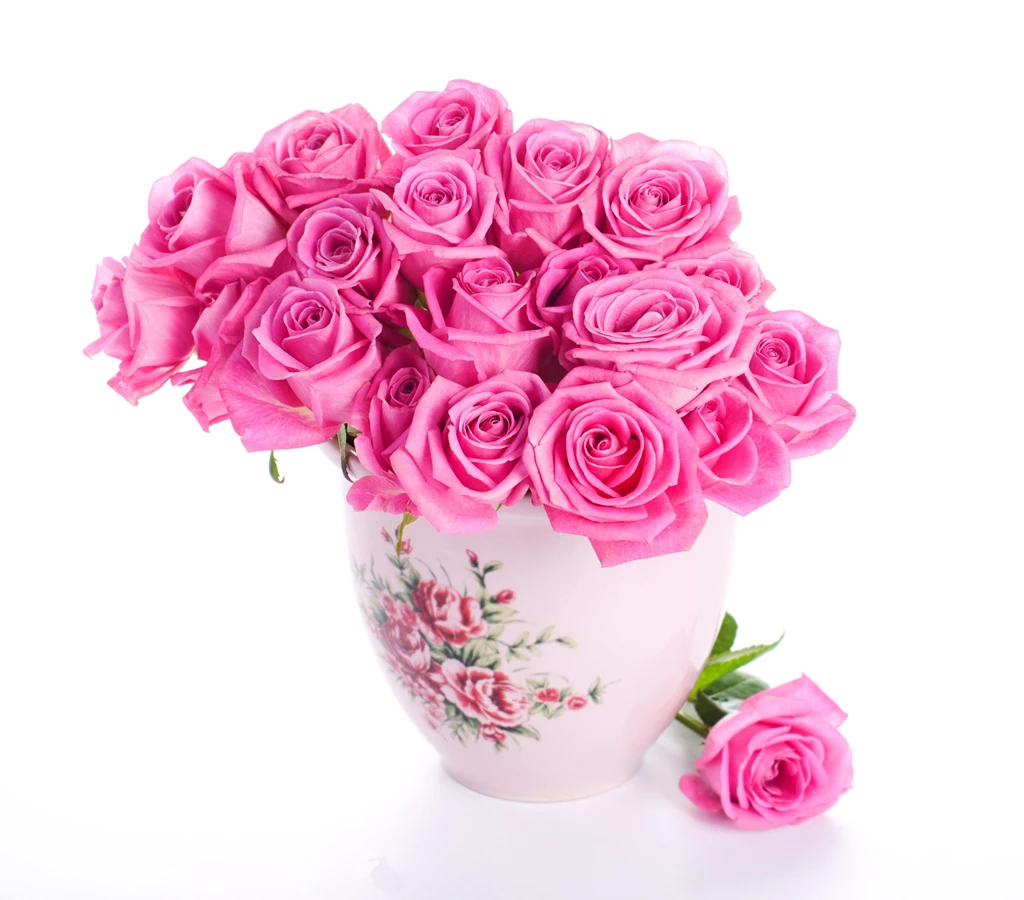 World's Top 100 Beautiful Flowers Images Wallpapers Photos Free ...