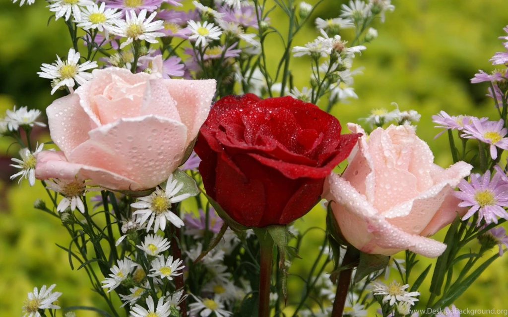 1920x1200   Page 936