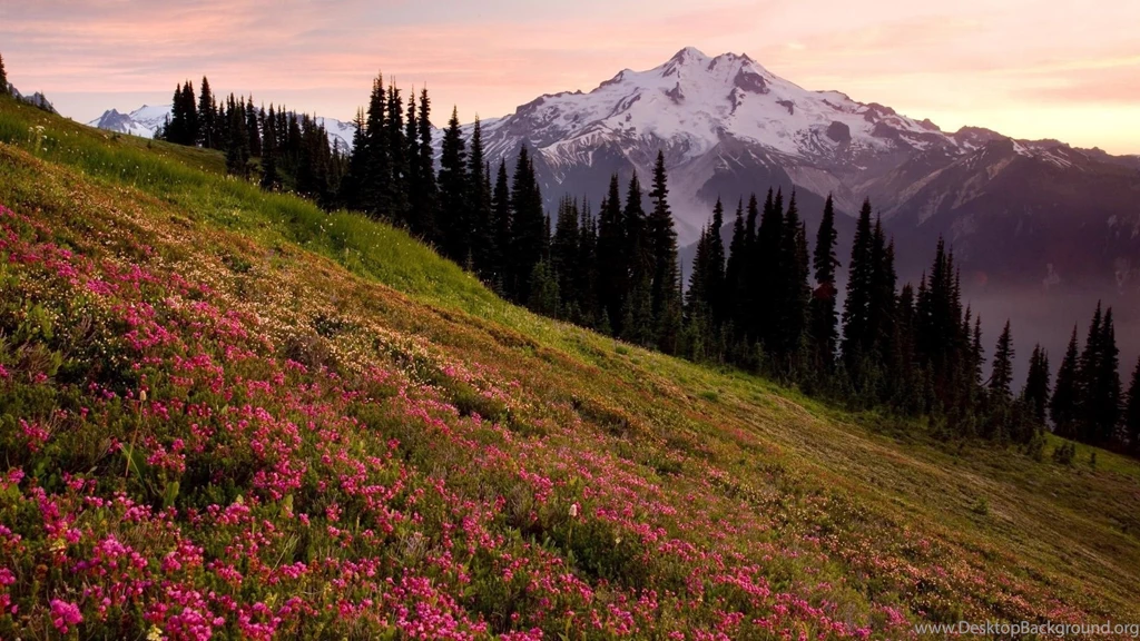 Mountain Backgrounds Pictures   Wallpapers Cave