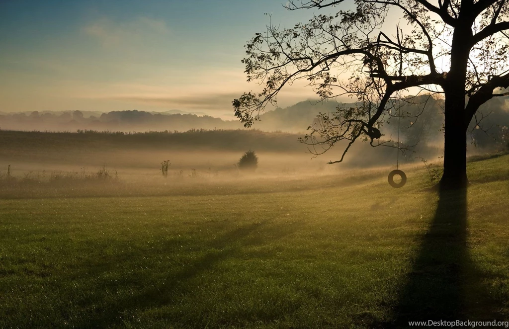 Nature Tree Leaves Leaves Branches Swing Wheel Bus Grass Green ...
