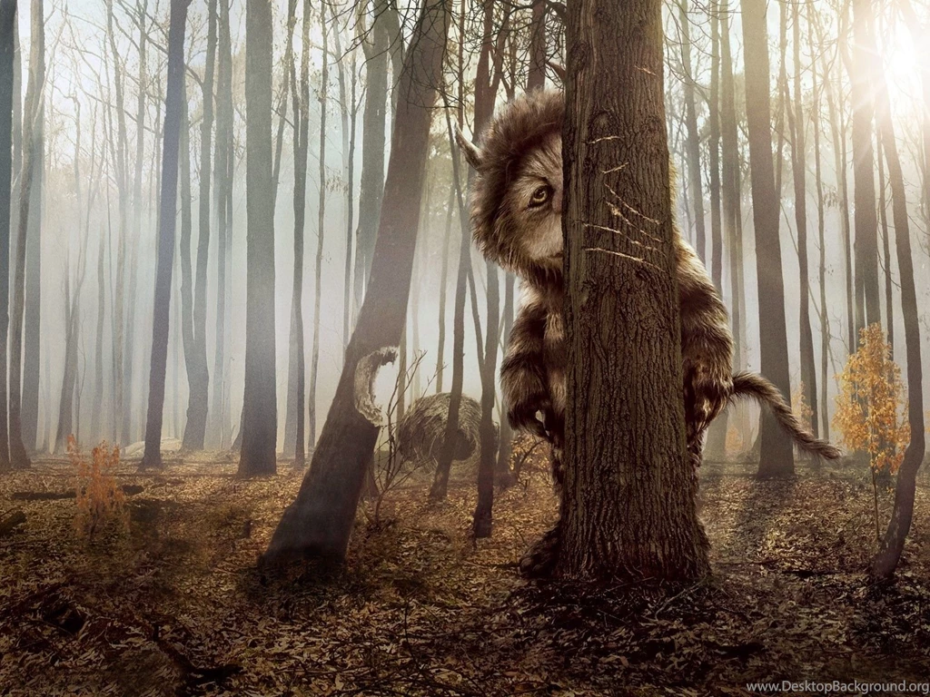 Wild Things – State Of Wilderness