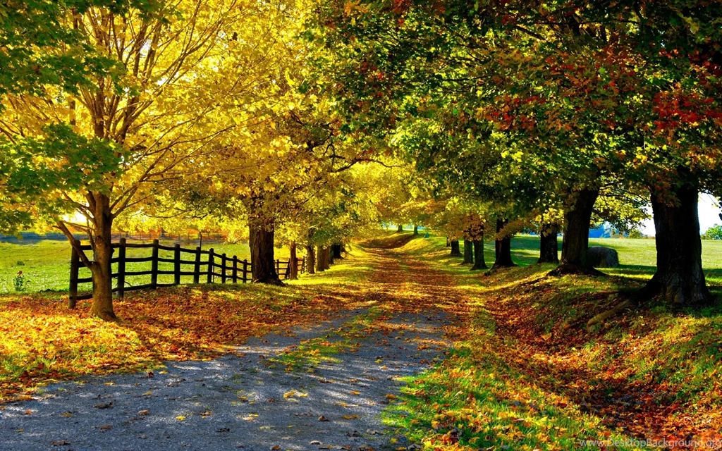 Autumn Desktop Wallpapers Free
